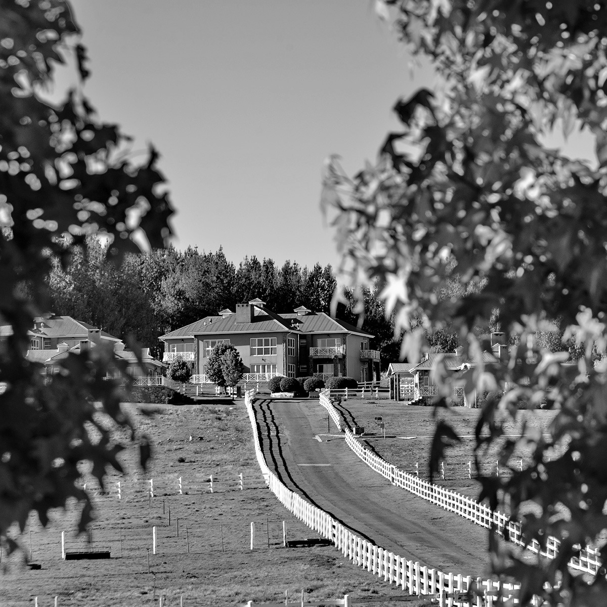 40 years celebration image