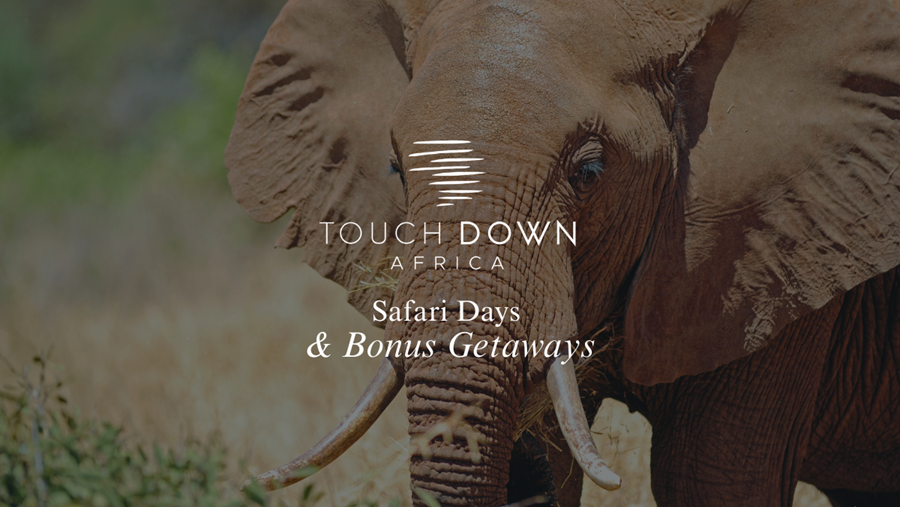 Safari Stay + Complimentary Escape